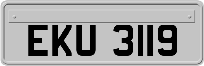 EKU3119