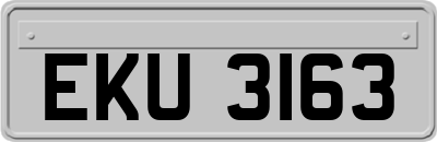 EKU3163