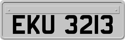 EKU3213