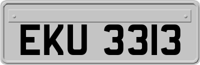 EKU3313