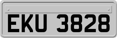 EKU3828