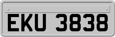 EKU3838