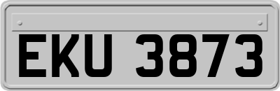 EKU3873
