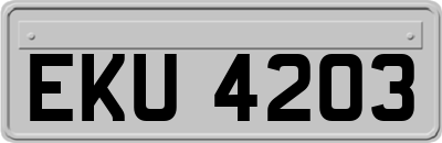 EKU4203
