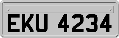 EKU4234