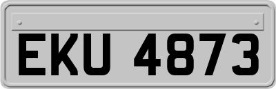 EKU4873