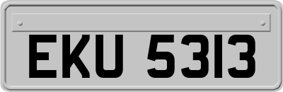 EKU5313