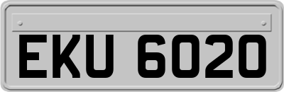 EKU6020