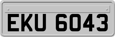 EKU6043