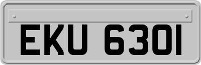 EKU6301