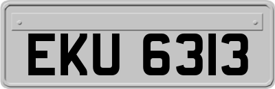EKU6313