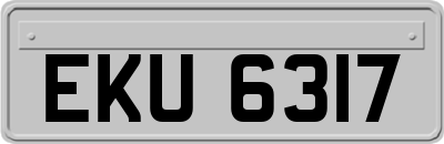 EKU6317