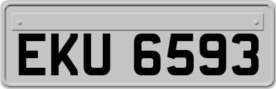 EKU6593