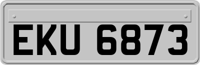 EKU6873