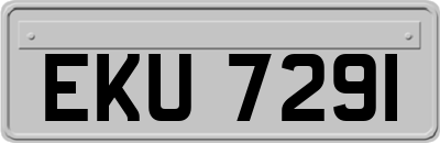 EKU7291