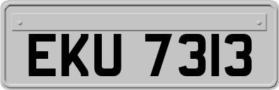 EKU7313