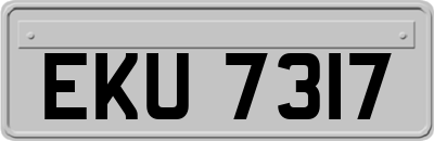 EKU7317