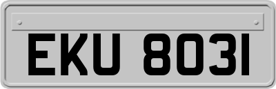 EKU8031