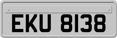 EKU8138