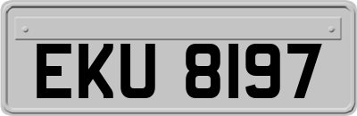 EKU8197