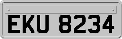 EKU8234