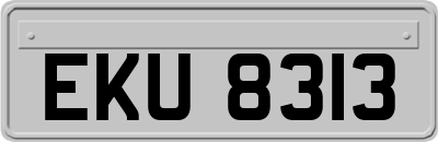 EKU8313