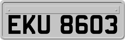EKU8603