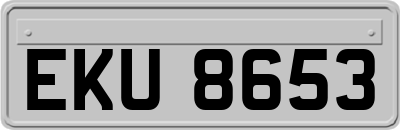 EKU8653