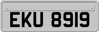EKU8919