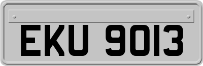 EKU9013
