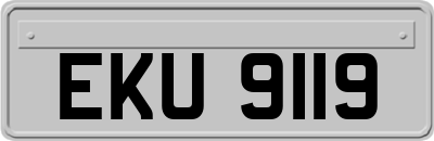 EKU9119