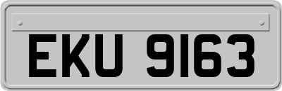 EKU9163