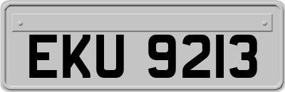EKU9213