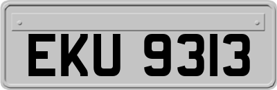EKU9313