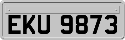 EKU9873