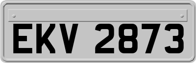EKV2873