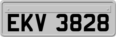 EKV3828