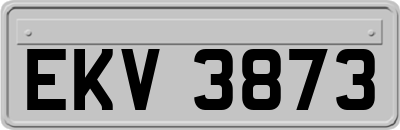 EKV3873