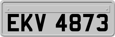 EKV4873