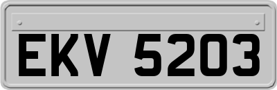 EKV5203