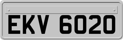 EKV6020