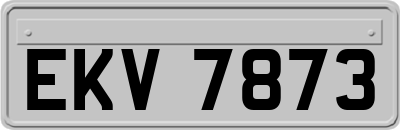 EKV7873