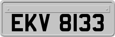 EKV8133