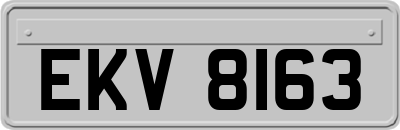 EKV8163