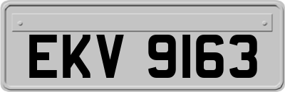 EKV9163