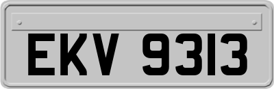 EKV9313
