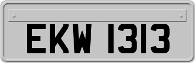 EKW1313