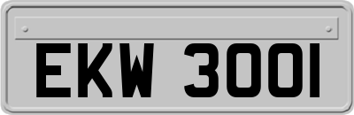 EKW3001