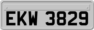 EKW3829