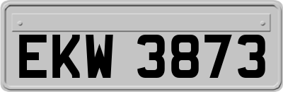 EKW3873